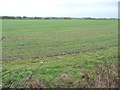 Farmland west of Winterdyne Farm in B79 9LB