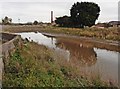 Bend in the River Parrett in Northmoor Green