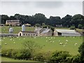 Close up of North Farm from Low Moor Road in Esh