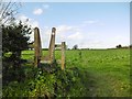 Shapwick, disused stile with marker in DT11 9JN