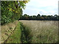 Grassy Footpath in CB10 2SS