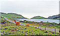 West by Loch a' Bhaid Daraich, east of Scourie in IV27 4SX