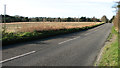 View along Norwich Road, Chedgrave in Chedgrave