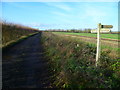 Looking across large field from bridleway junction with footpath in BN17 7TB