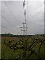 Power lines march through the countryside in DH6 2AJ
