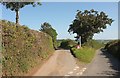 Bradbury Cross in EX37 9RD