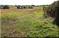 Field near Bradbury Cross in EX37 9RD