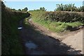 Track near Riding Cross in EX37 9RA