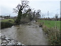 The river Clwyd near Llanynys in LL16 4LF