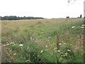 Field, Crofts of Kingscauseway in IV19 1NF