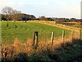 Farmland by Mill Lane in NE15 9QU