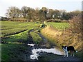 Track west of Throckley North Farm in NE15 9FU