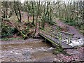 Footbridge over Cheesden Brook in OL11 5UP