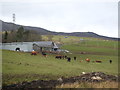 Barns at Home Farm in PH16 5PB