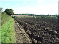 Path And Ploughed Field in CB9 7DZ