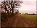 Track and Footpath near Fenwick in DN6 0HB
