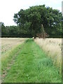 Footpath To Hempstead Wood in CB10 2NZ
