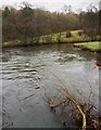 A meandering and full flowing River Wye near Haddon in DE45 1JD