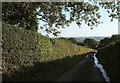 Lane to Chuggaton in EX37 9SE