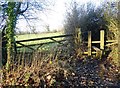 Stile and gate by Dog Lane, Shirland in DE55 6BA