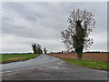 Whittlesey Road near Thorney in PE6 0RA