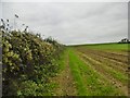 Tarrant Keyneston, footpath in DT11 9HW