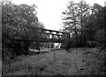 Bisley Tramway bridge, Basingstoke Canal in GU24 0JS