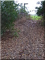 Bridleway leaves Smale Copse in RH14 0AN