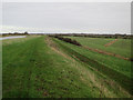 Bridleway by River Great Ouse in PE38 0AY