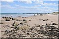 Beach to the north of Seahouses in NE68 7SY