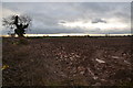 Ploughed field in NG22 0JP