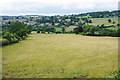 A field of sheep near Painswick in Gloucestershire