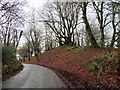 Bend in the road, Buckland Wood in TA21 9LL