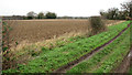 Fields south of Panxworth in NR13 6AE