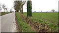 Ditch beside The Windle in NR13 6AW