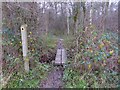 Footpath enters Marringdean Wood in RH14 9HD
