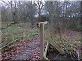 Footbridge on path near Westlands Farm in North Heath