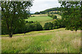 Undulating farmland near Sheepscombe in GL6 6UB