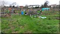 Allotments beside St Anne's Drive in RH1 2NP
