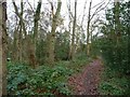 Woodland path heading east to Lords Moor Lane in YO32 5UQ