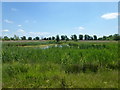 Pools at the nature reserve in PE6 7NT