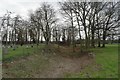 Moat around churchyard in Essendine