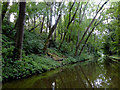 Canal south-east of Wheaton Aston, Staffordshire in ST19 9QX