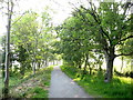 Tarred path along the shore of Llyn Tegid in Bala Community