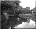 River Wandle at Carshalton in SM6 7DJ