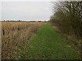 Path by Lackford Run in NR13 5PA