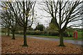Tree-lined street and phone box in Aslackby