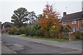 Autumnal colour - Whetstone Road in GU14 9SJ