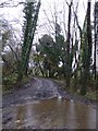 Track on the edge of Cornwood, by Heathfield Down in PL21 9QE