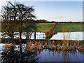 Flooded Farmland next to the Canal in M26 4FQ